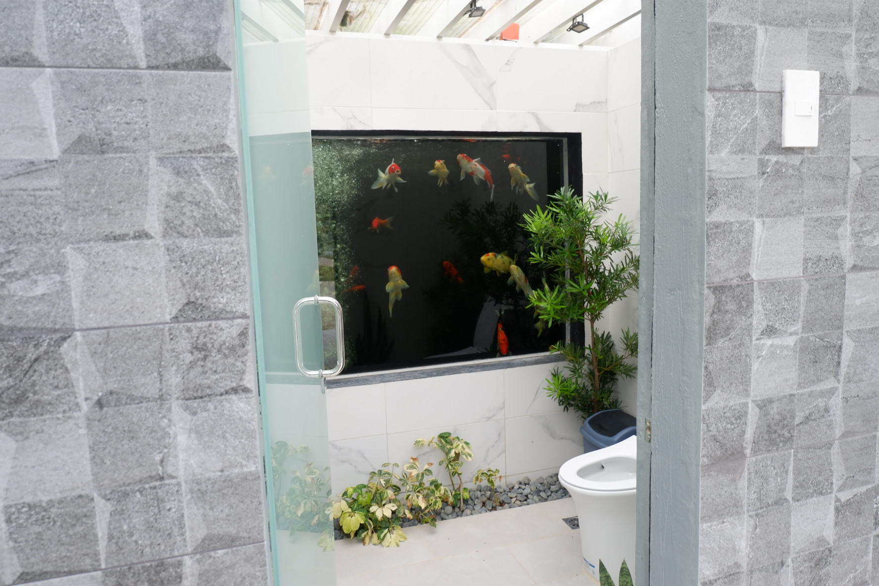 Aquatic Oasis 5