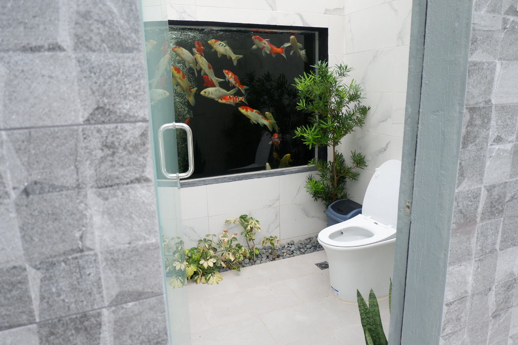 Aquatic Oasis 6