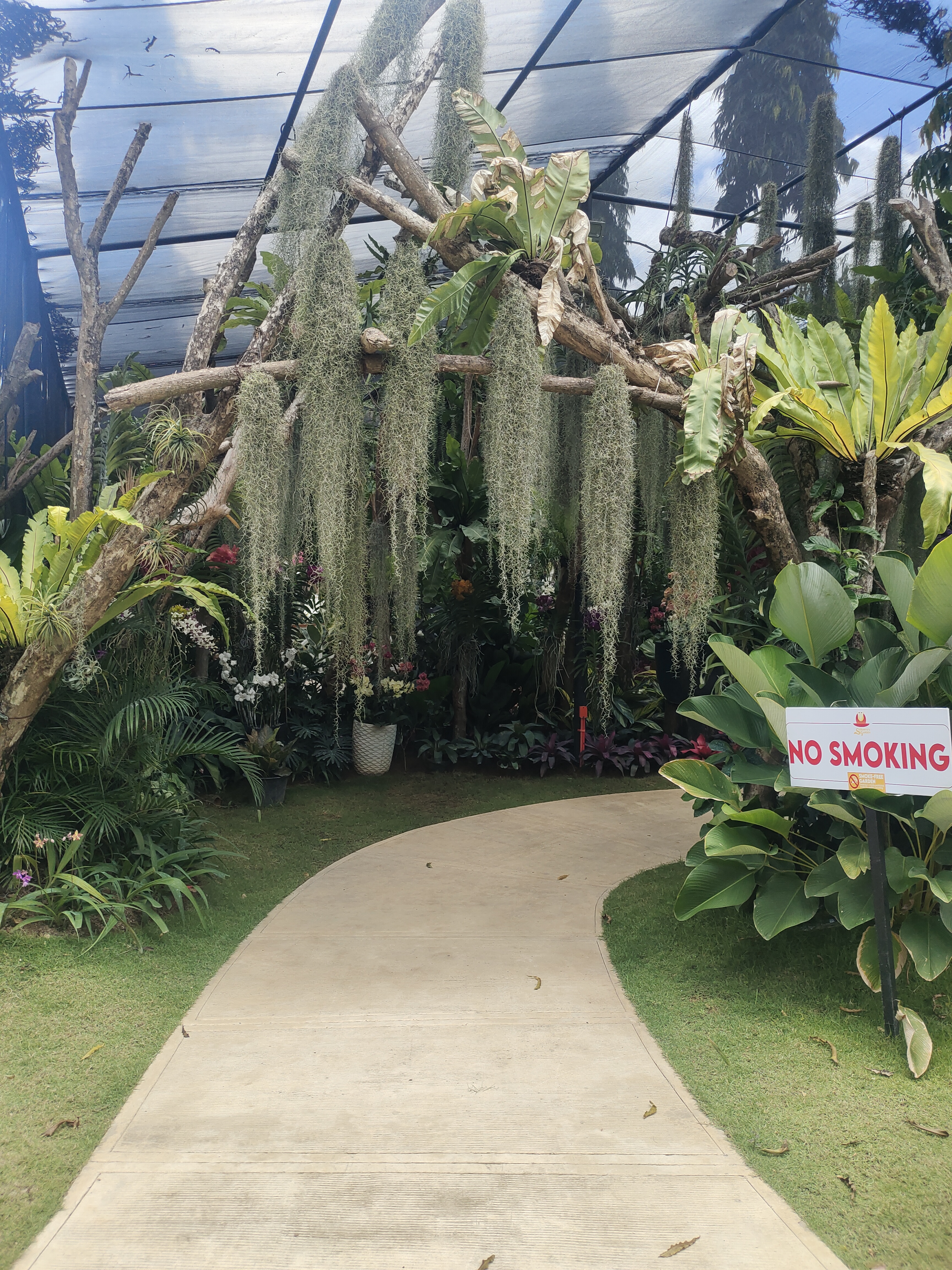 Botanical Haven 5