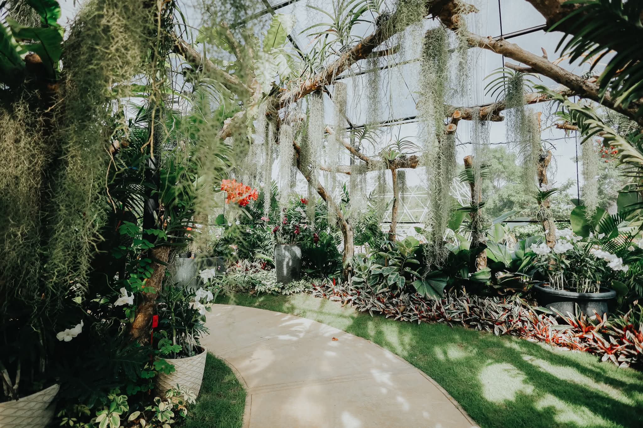 Botanical Haven 6