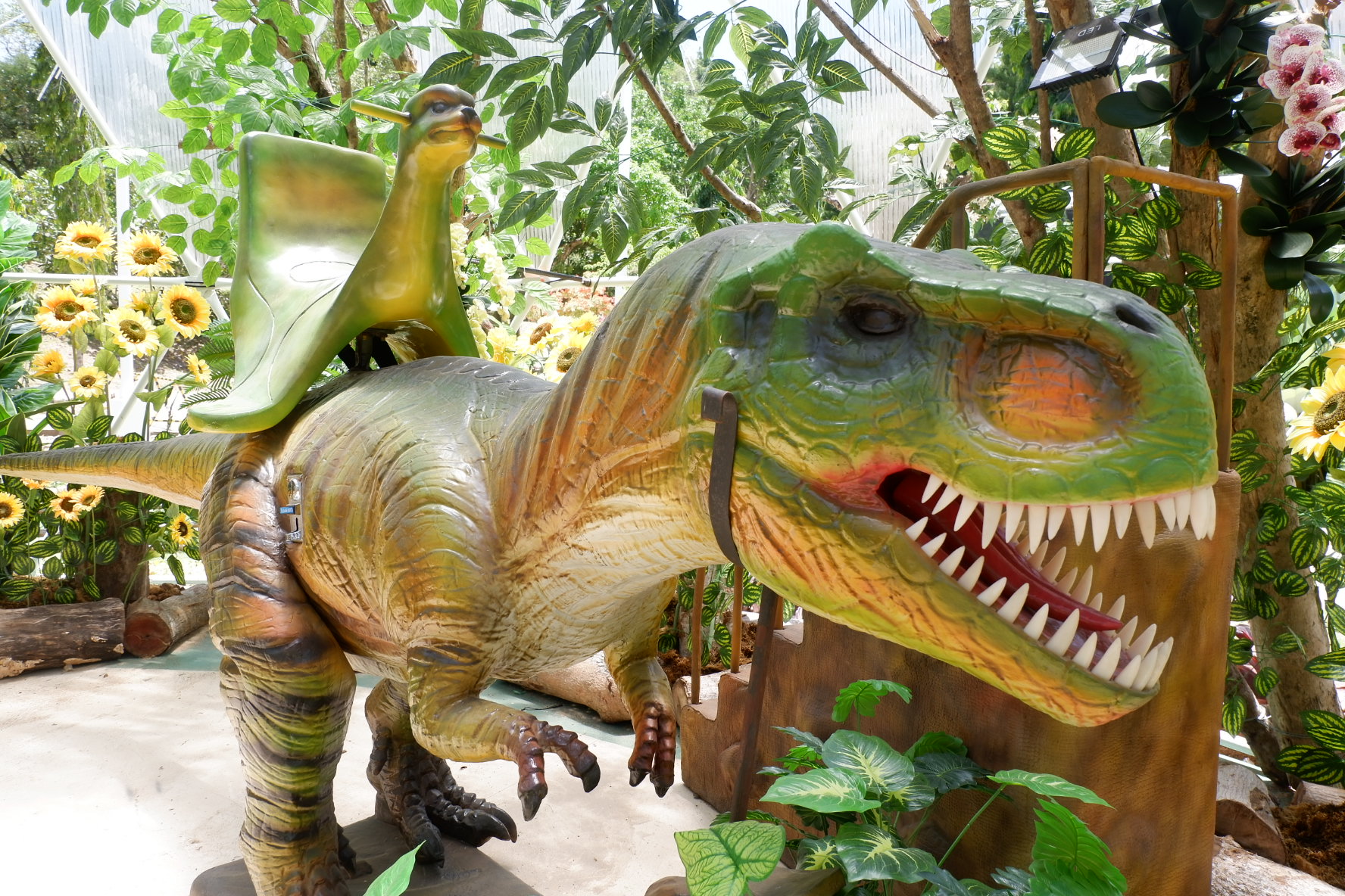 Dino Land 5