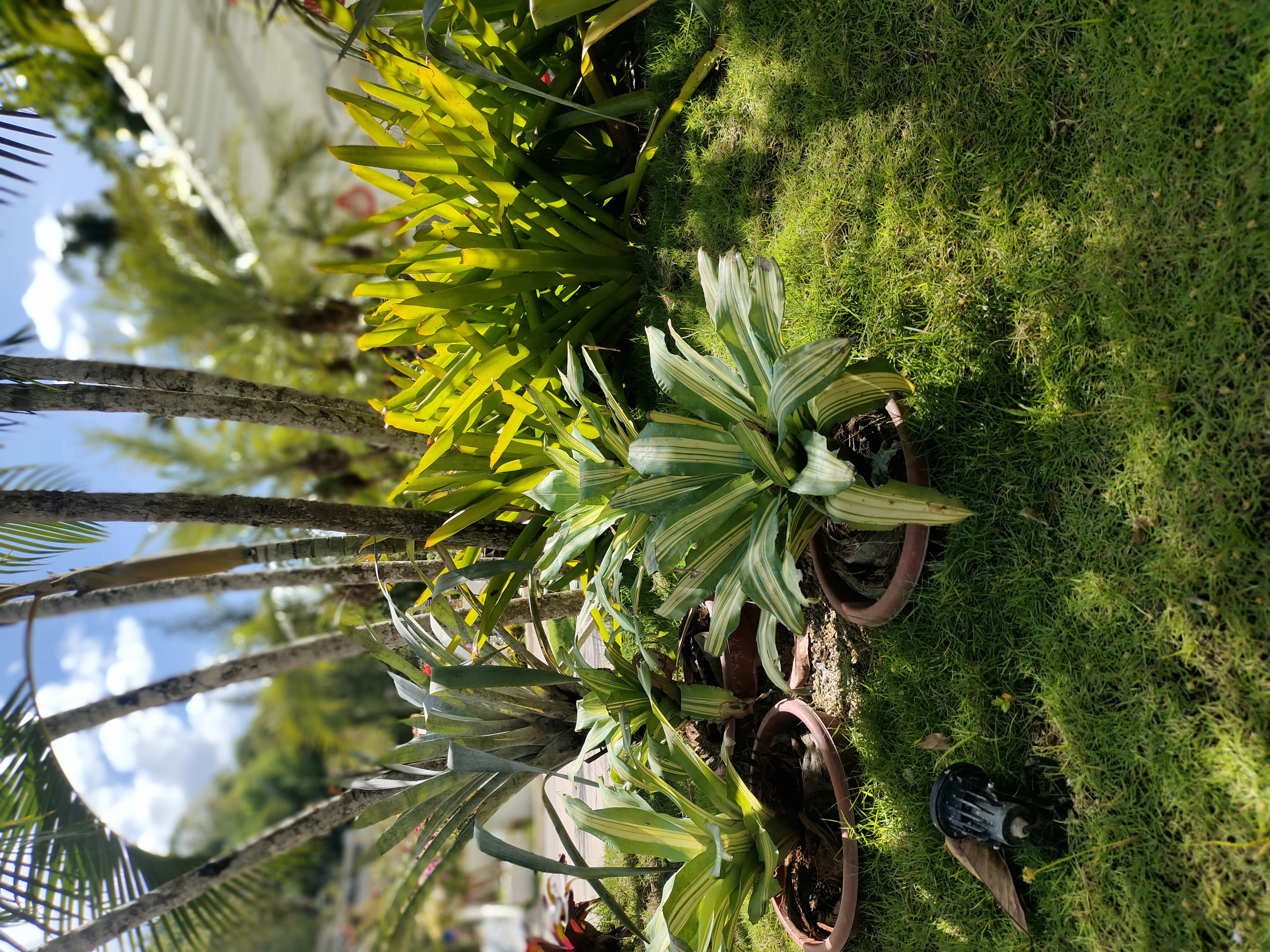 Hero 3