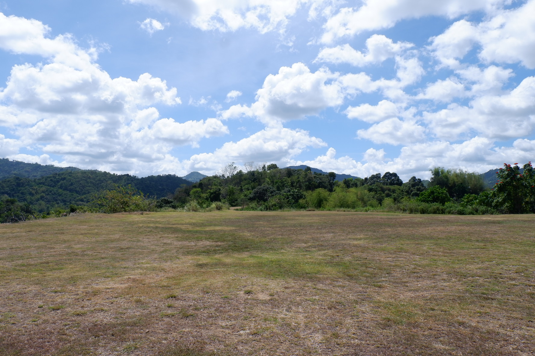 Nature's Retreat 1