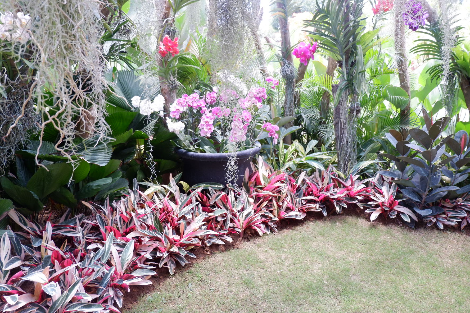 Event Setup