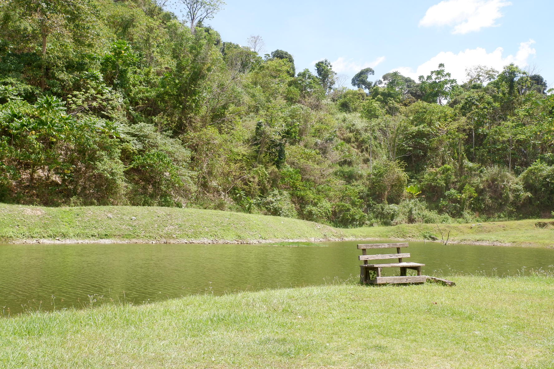 Serenity Lake 1
